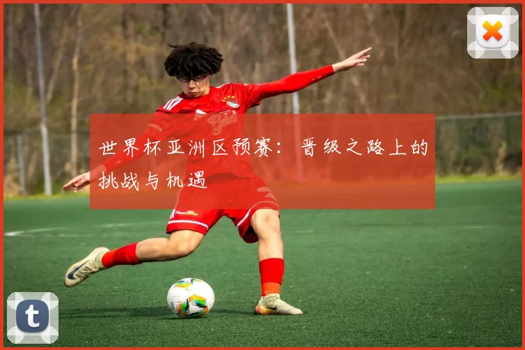 世界杯亚洲区预赛:晋级之路上的挑战与机遇