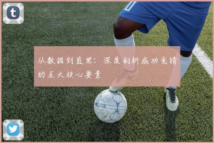 从数据到直觉：深度剖析成功竞猜的五大核心要素