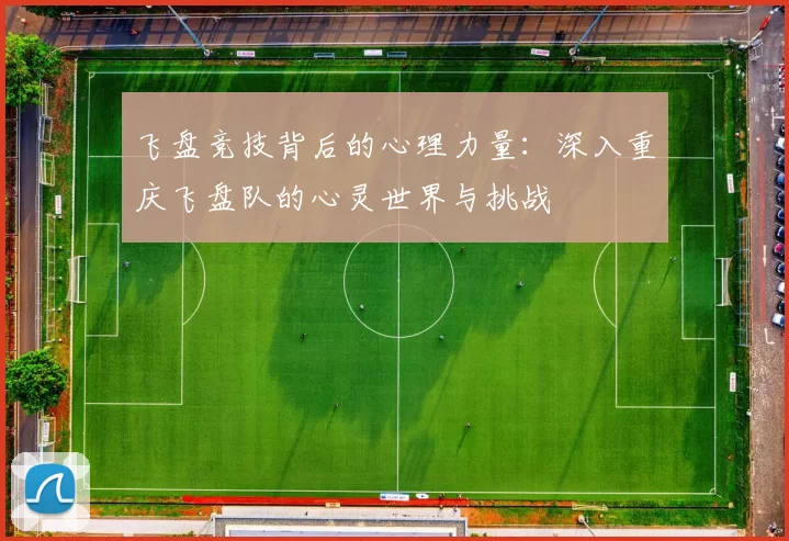 飞盘竞技背后的心理力量:深入重庆飞盘队的心灵世界与挑战