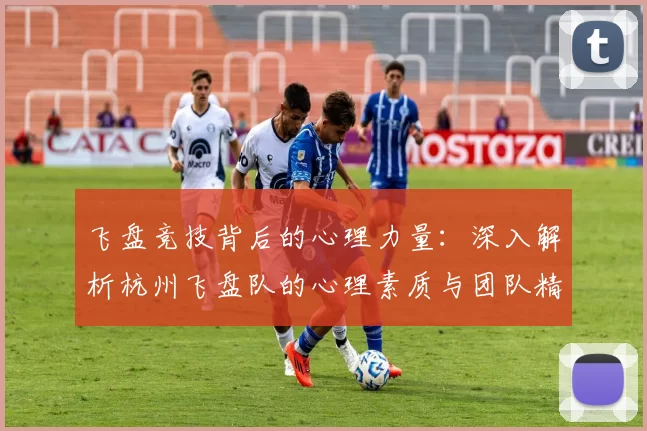 飞盘竞技背后的心理力量：深入解析杭州飞盘队的心理素质与团队精神