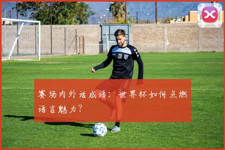 赛场内外话成语:世界杯如何点燃语言魅力?