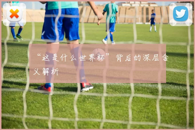 “这是什么世界杯”背后的深层含义解析