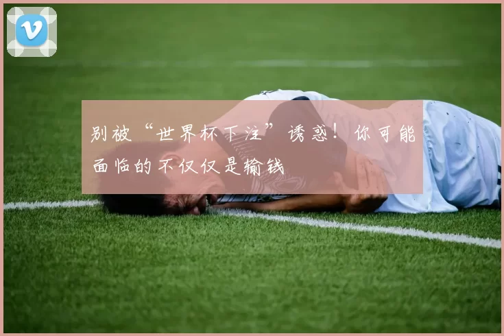别被“世界杯下注”诱惑!你可能面临的不仅仅是输钱