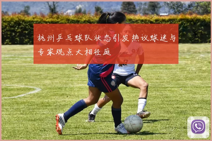 杭州乒乓球队状态引发热议球迷与专家观点大相径庭